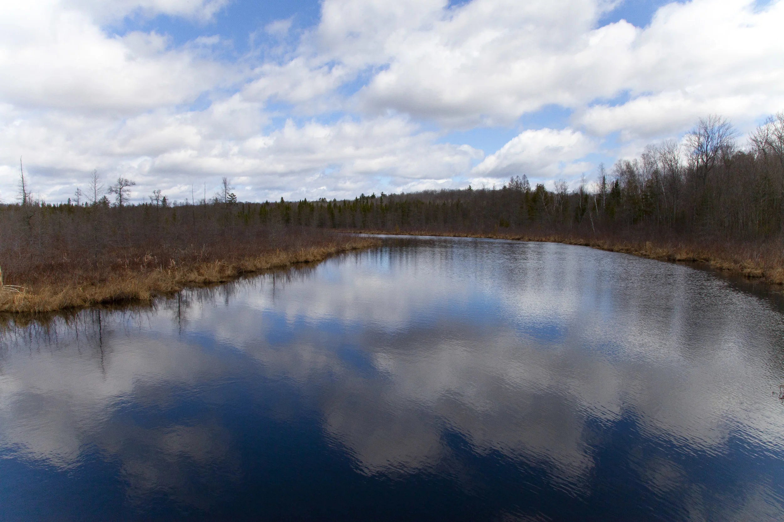 IMG_9695.jpg