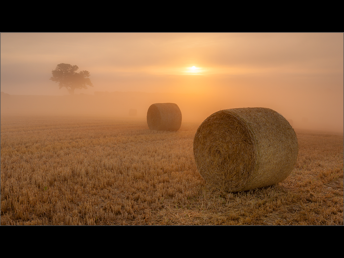 BALES  AND TREE IN THE MORNING MIST by Colin Mill.jpg