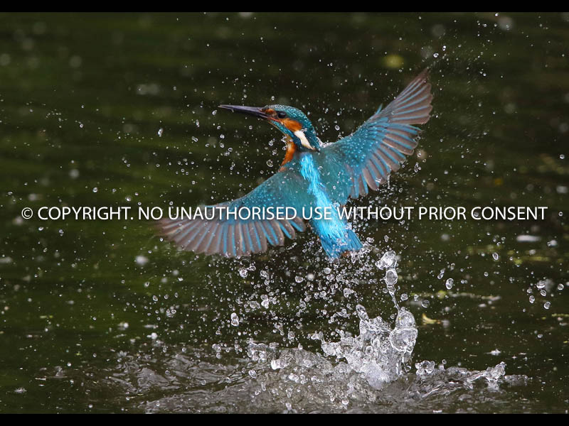 BATH EXIT by Neil Schofield.jpg