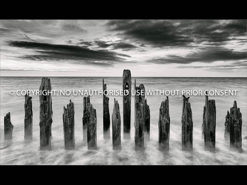 GROYNES by Jamie White.jpg