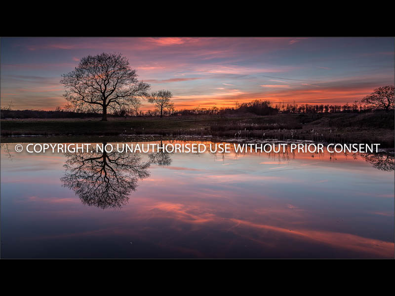 STILL WATER REFLECTION by Colin Mill.jpg