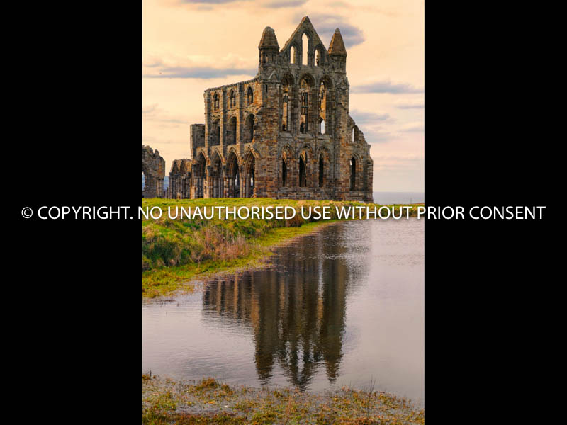 WHITBY ABBEY by Ian Mellor.jpg