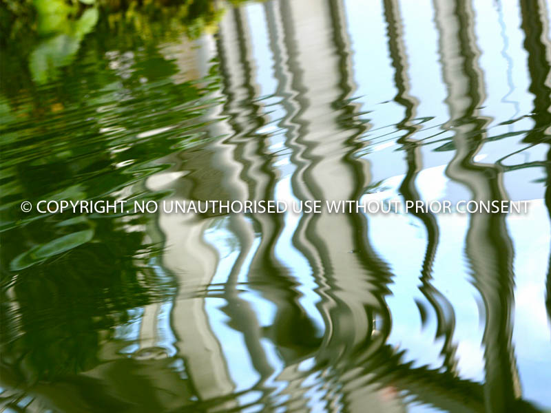 WATER REFLECTIONS by U Gavin.jpg