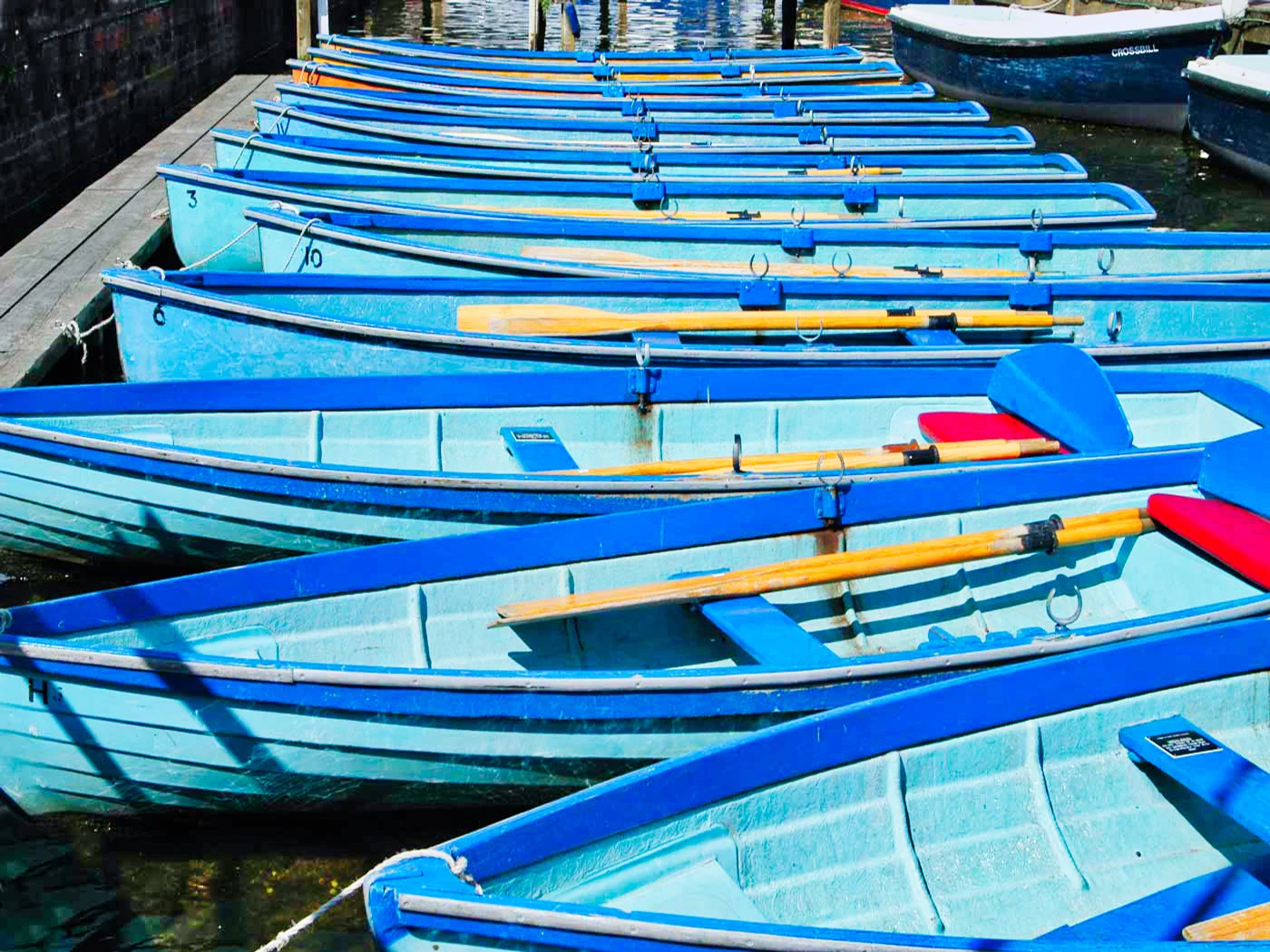ROWING-BOATS by Peter Fortune.jpeg