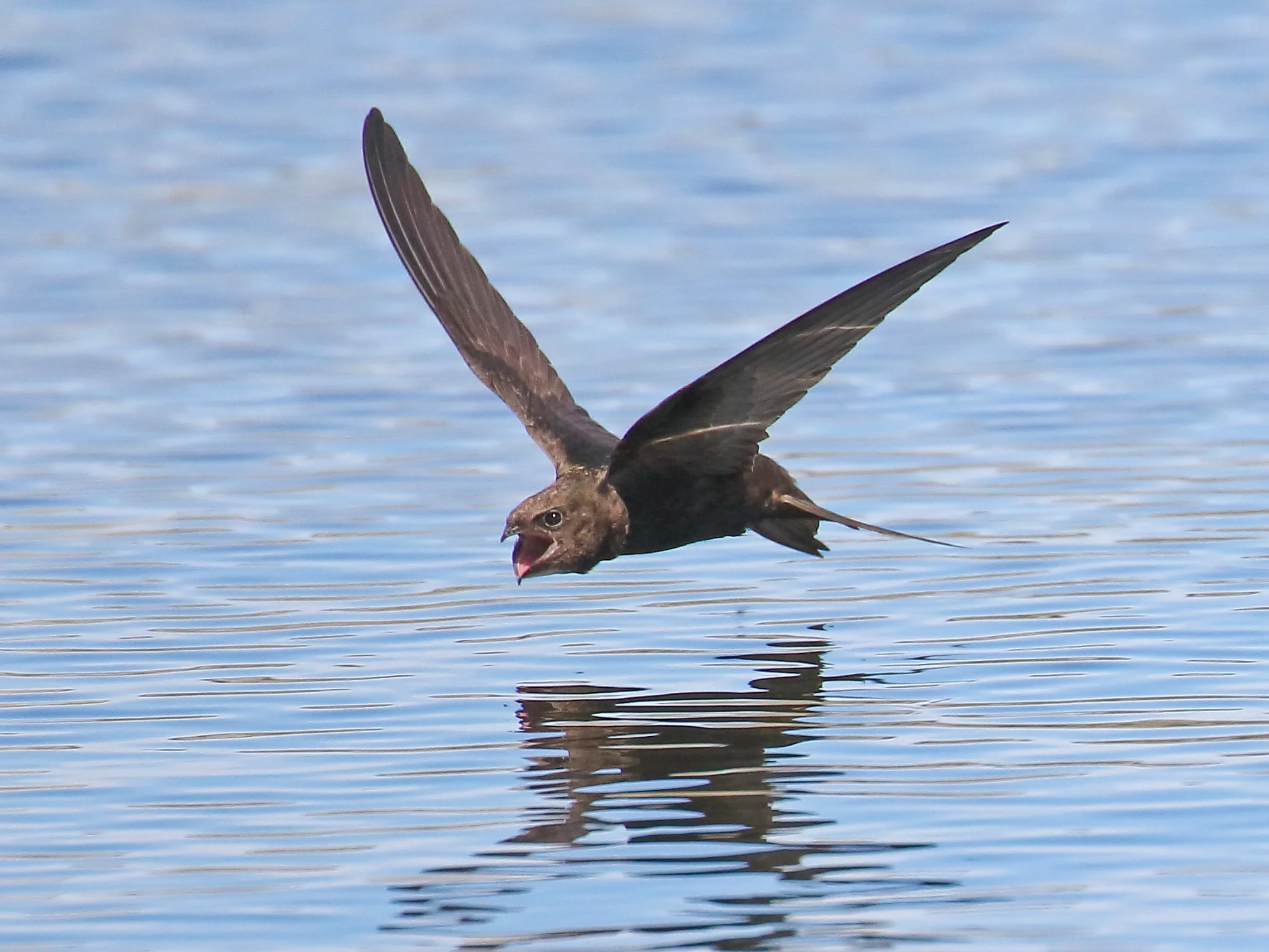 Document Name clarity_2.JPG