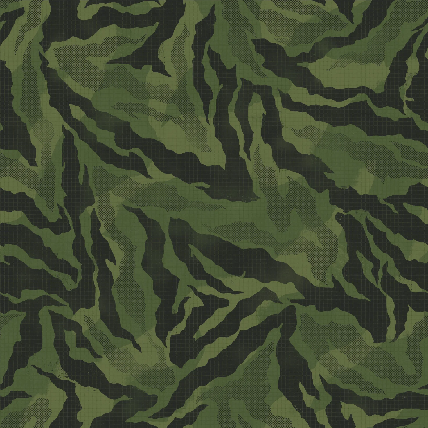 zebra.jpg