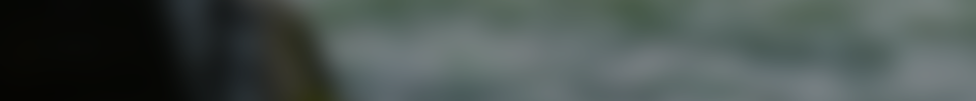 Banner BG.png