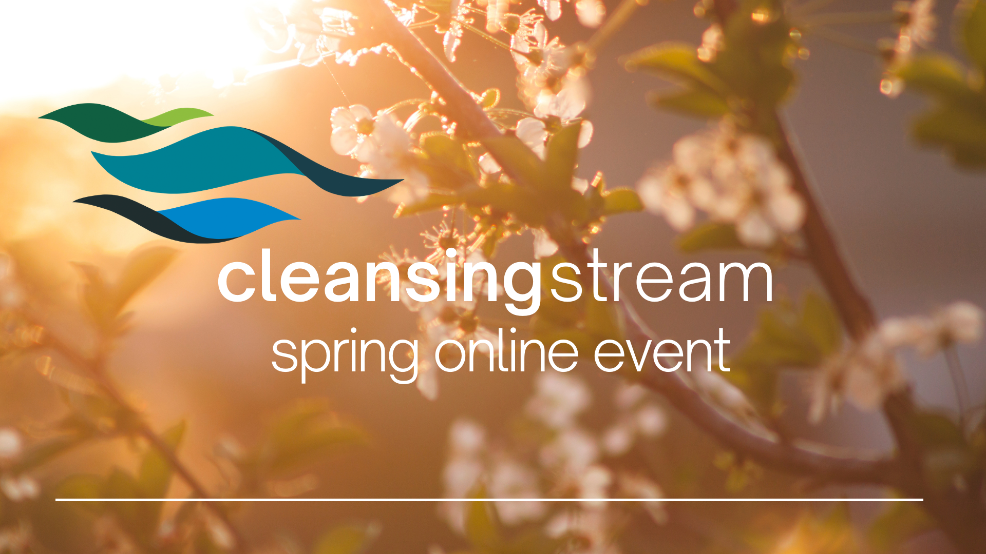 Cleansing Stream Online Event 
