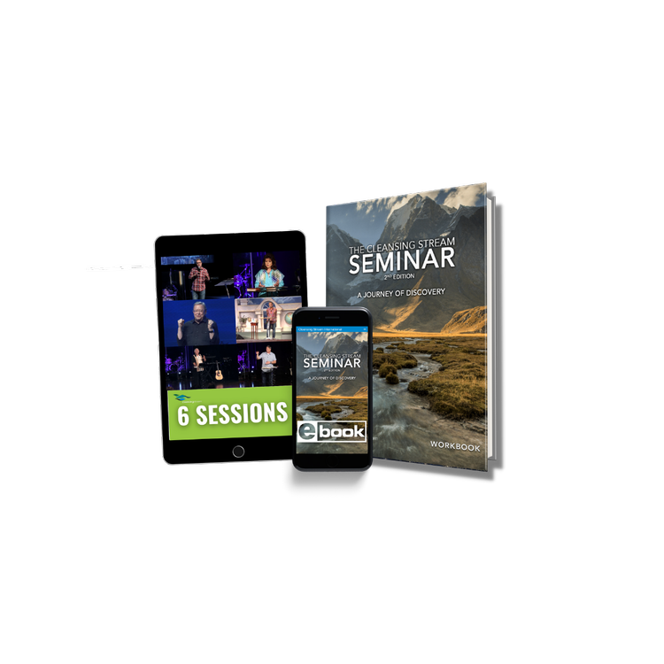 Cleansing Stream Seminar course package