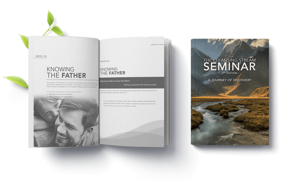 The Cleansing Stream Seminar Workbook