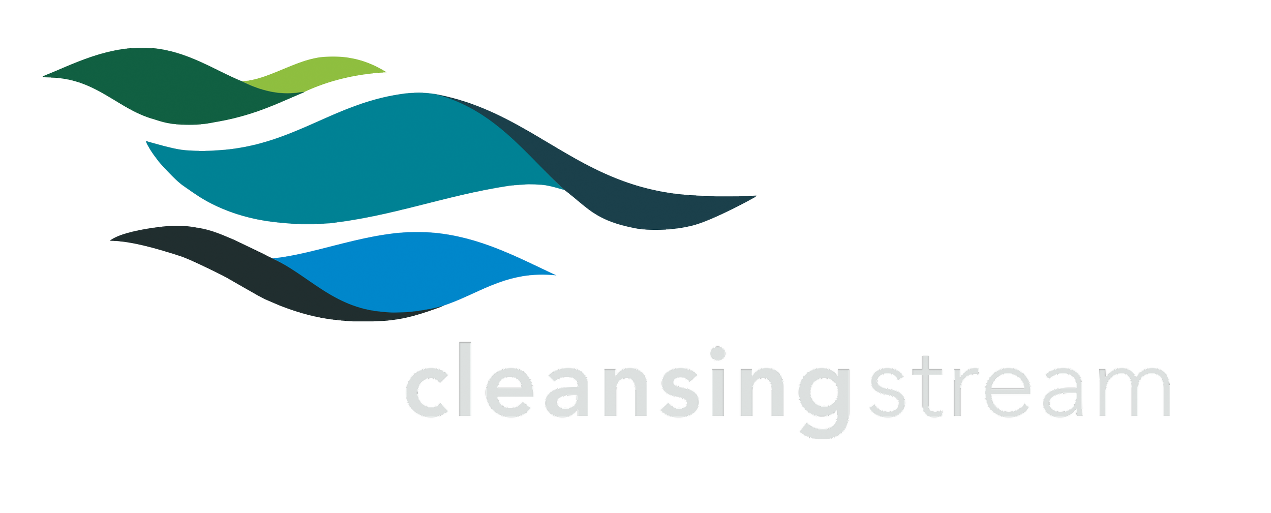 Cleansing Stream Logo