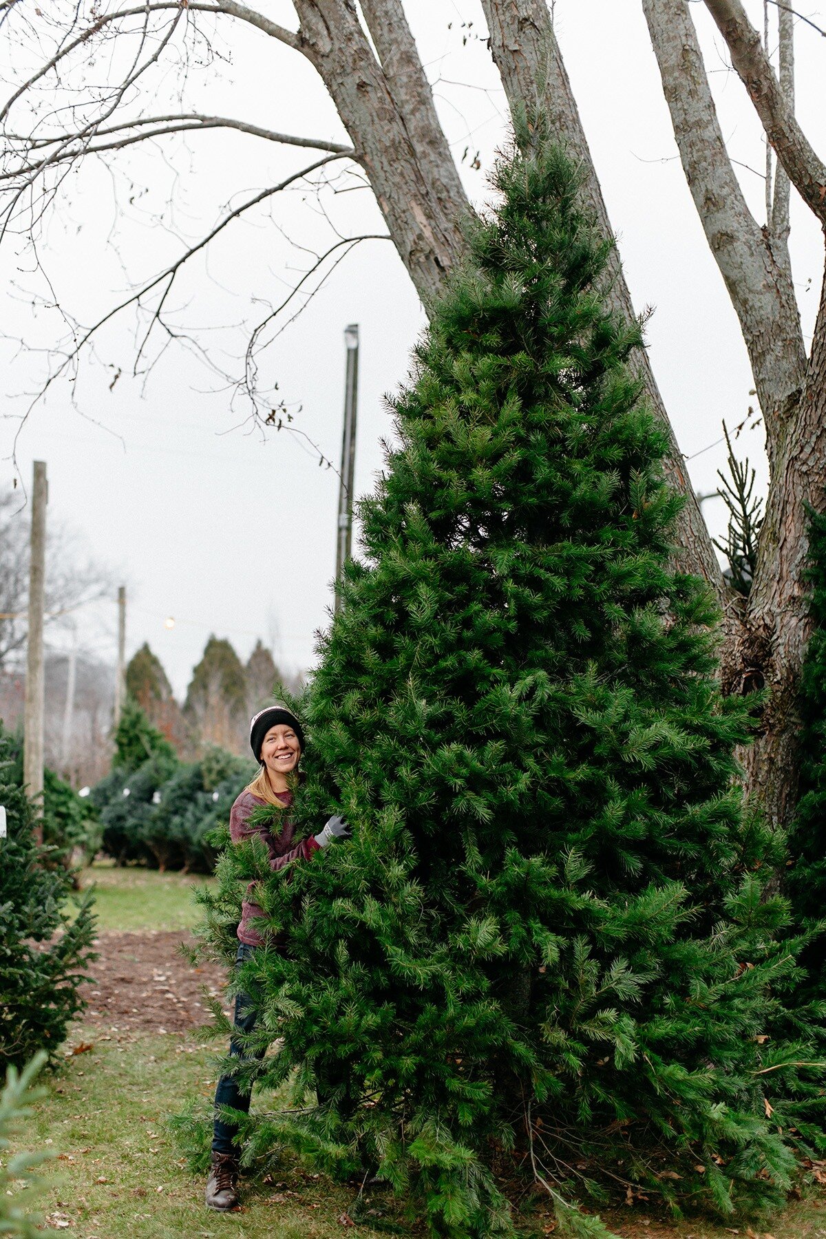 West-Michigan_Christmas-Tree-Lot_02.jpg