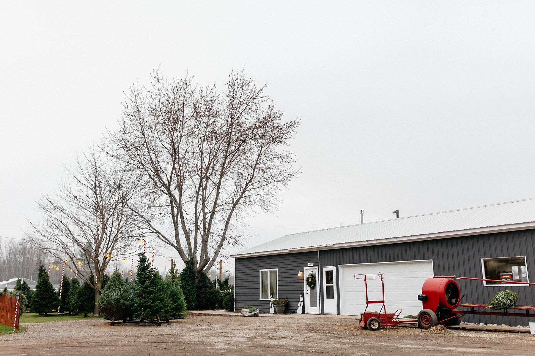 West-Michigan_Christmas-Tree-Lot_01.jpg