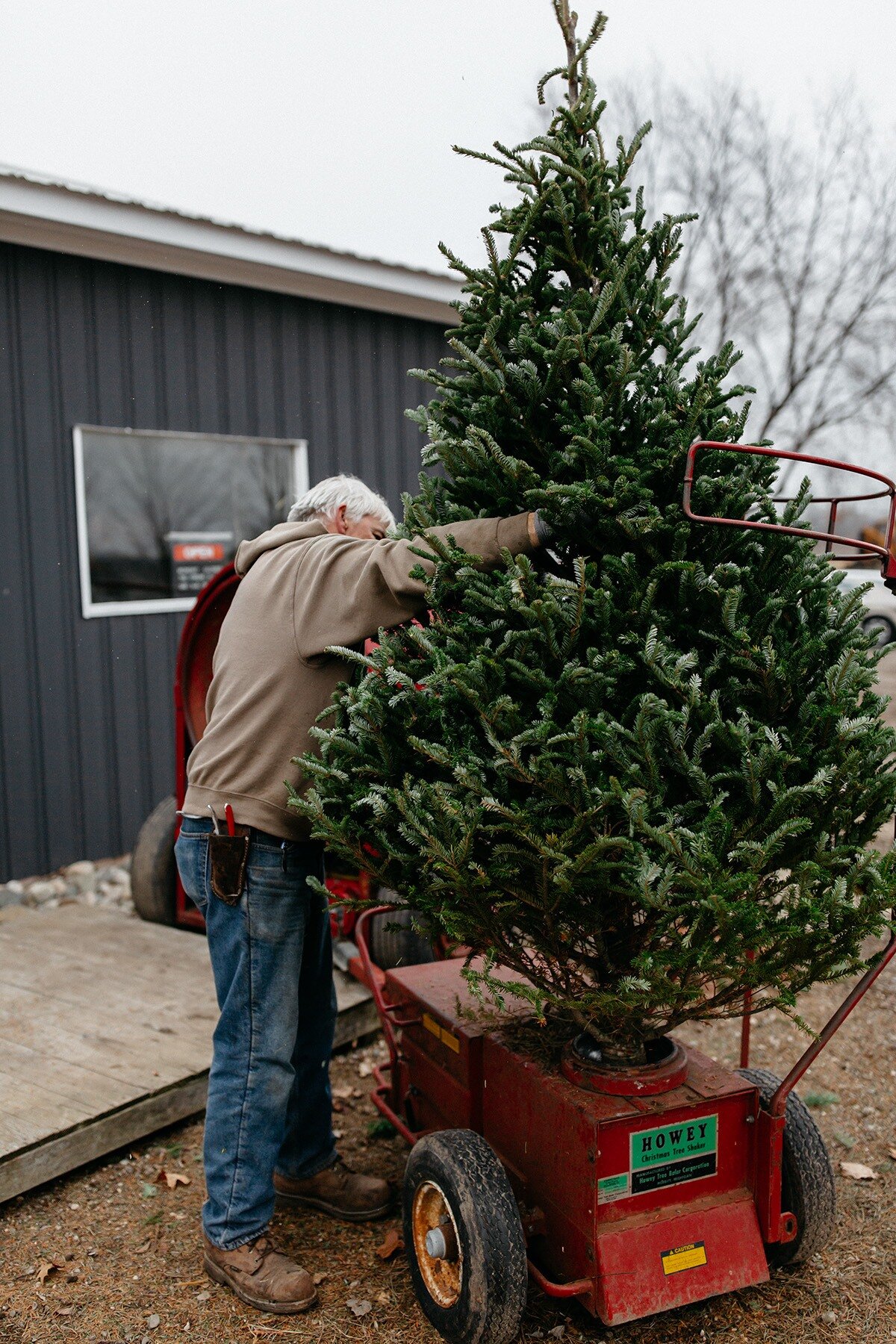 West-Michigan_Christmas-Tree-Lot_05.jpg