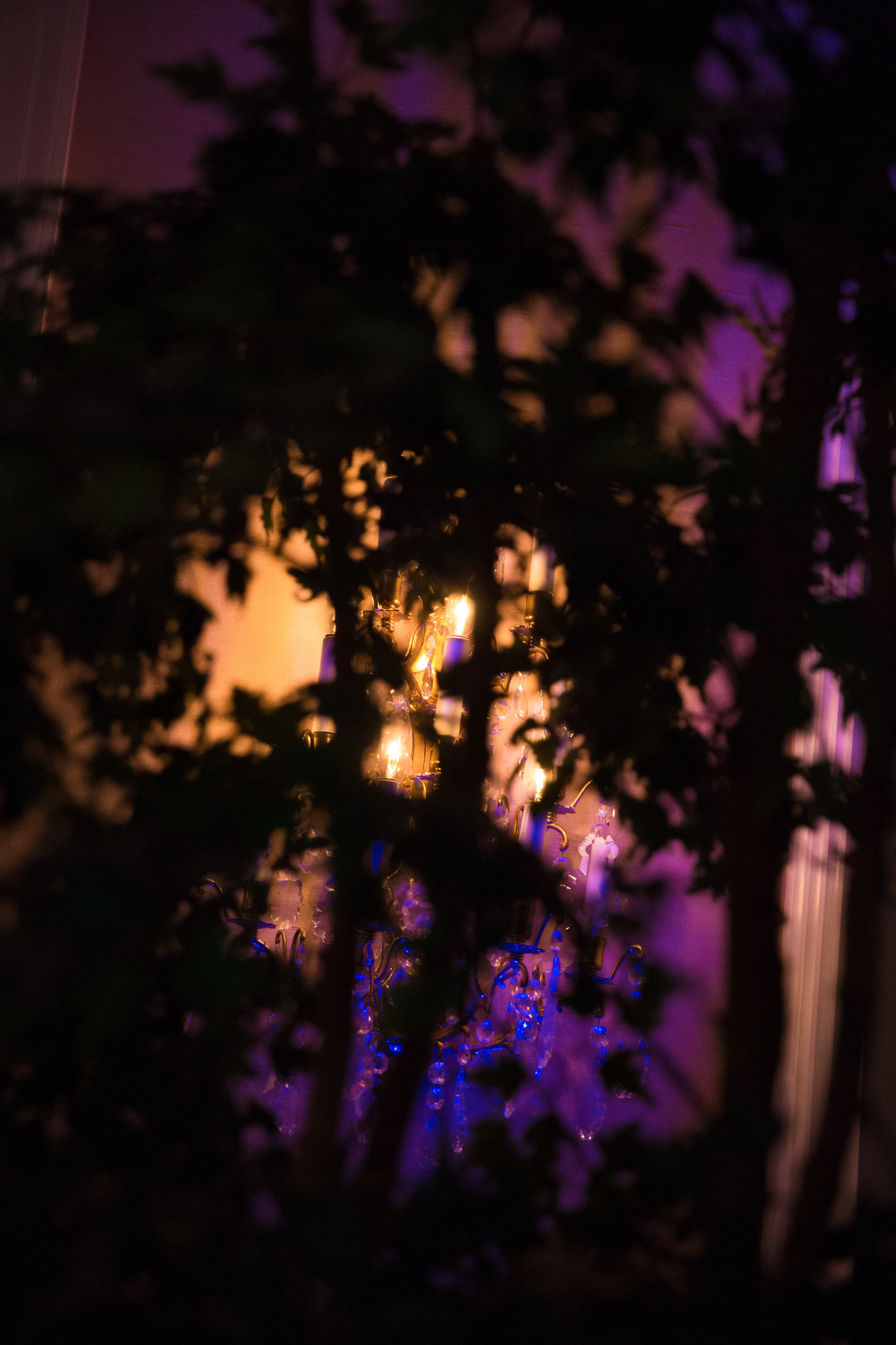 0238_ZNW.jpg