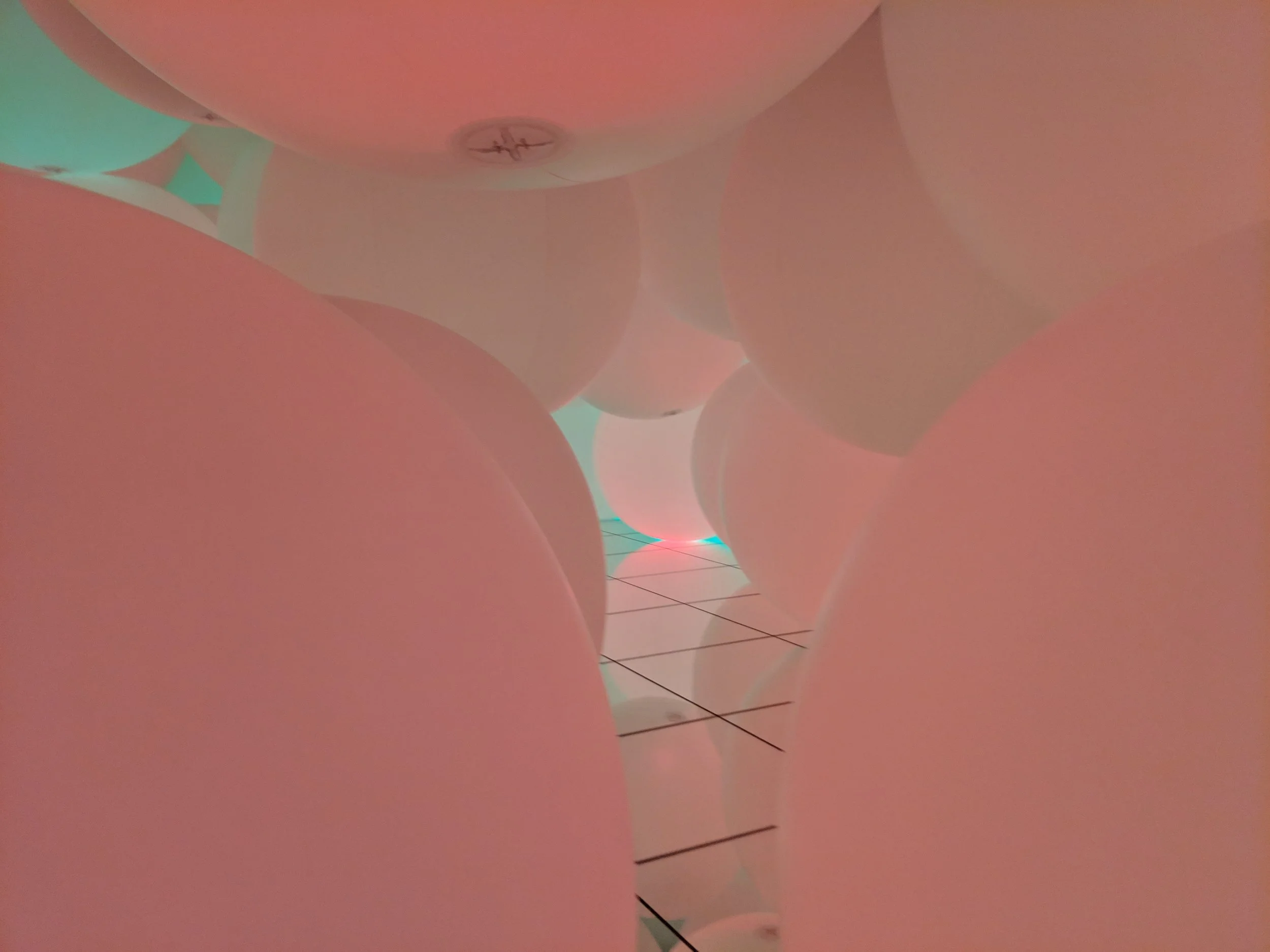 IMG_20190209_102816.jpg