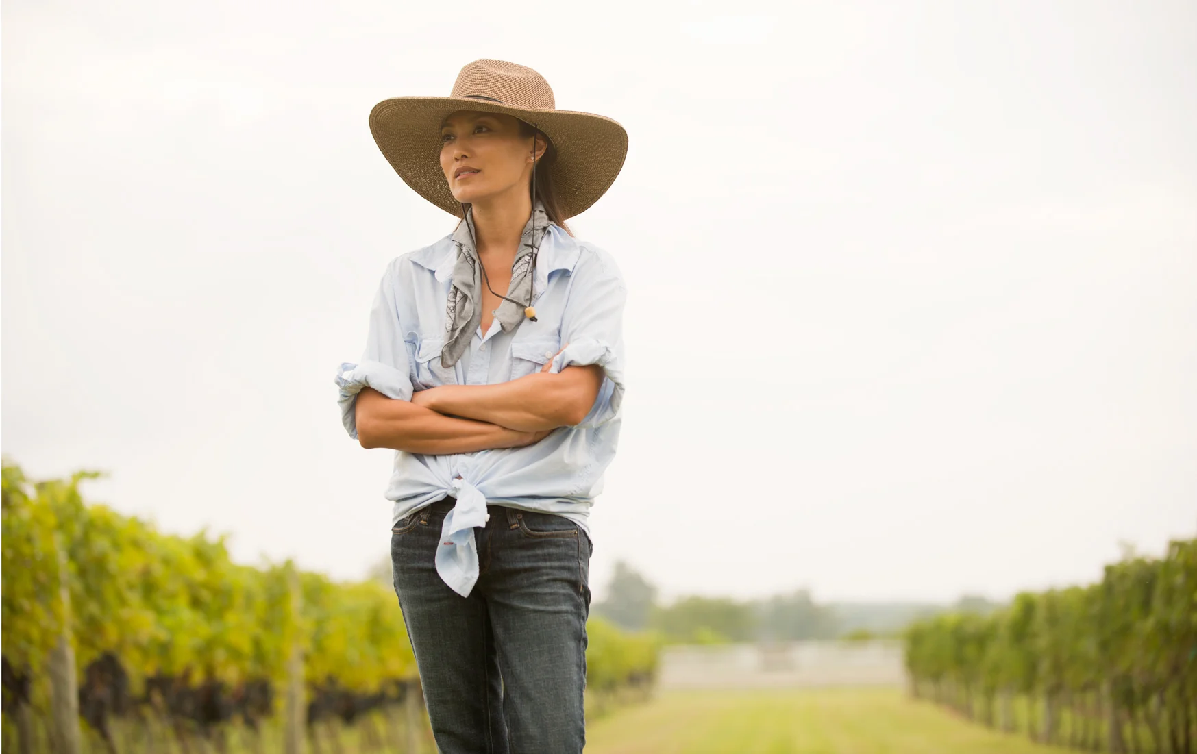 Vineyard,-Irvington-Va.jpg
