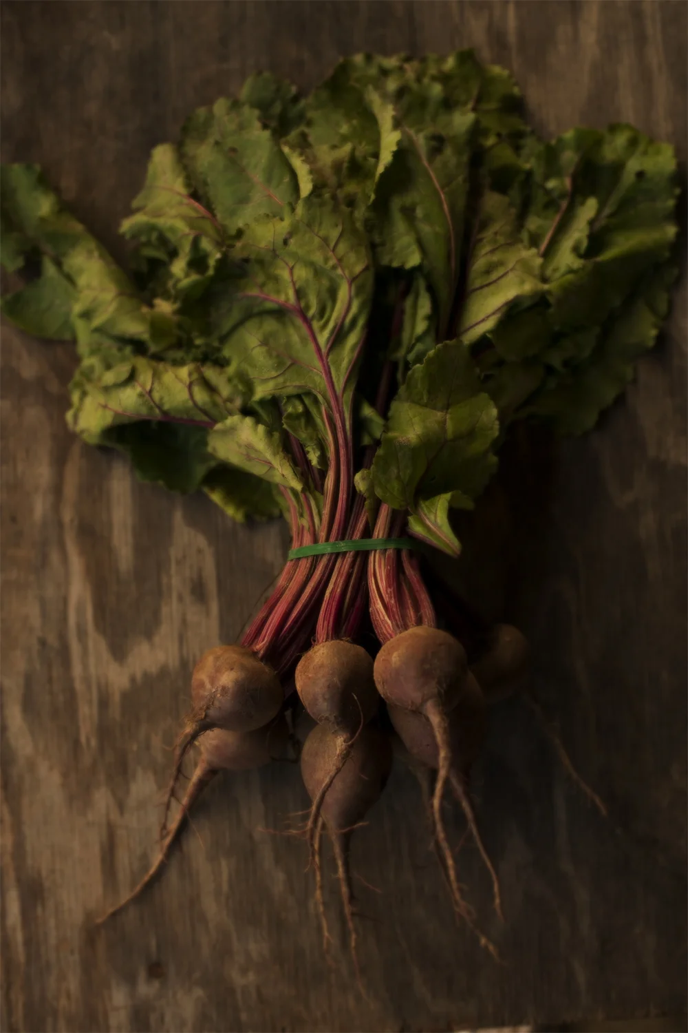beets_DSC8125 final.jpg