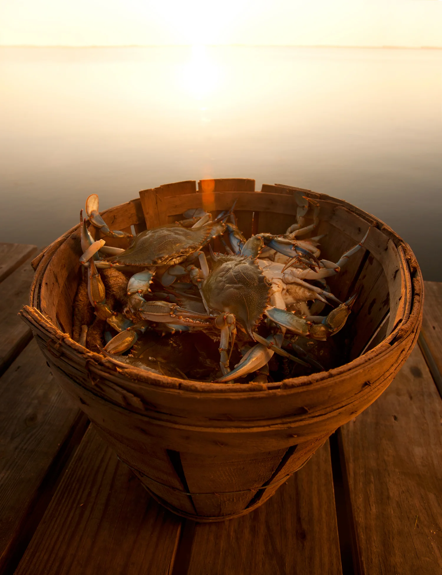 CRAB_covers-6.jpg