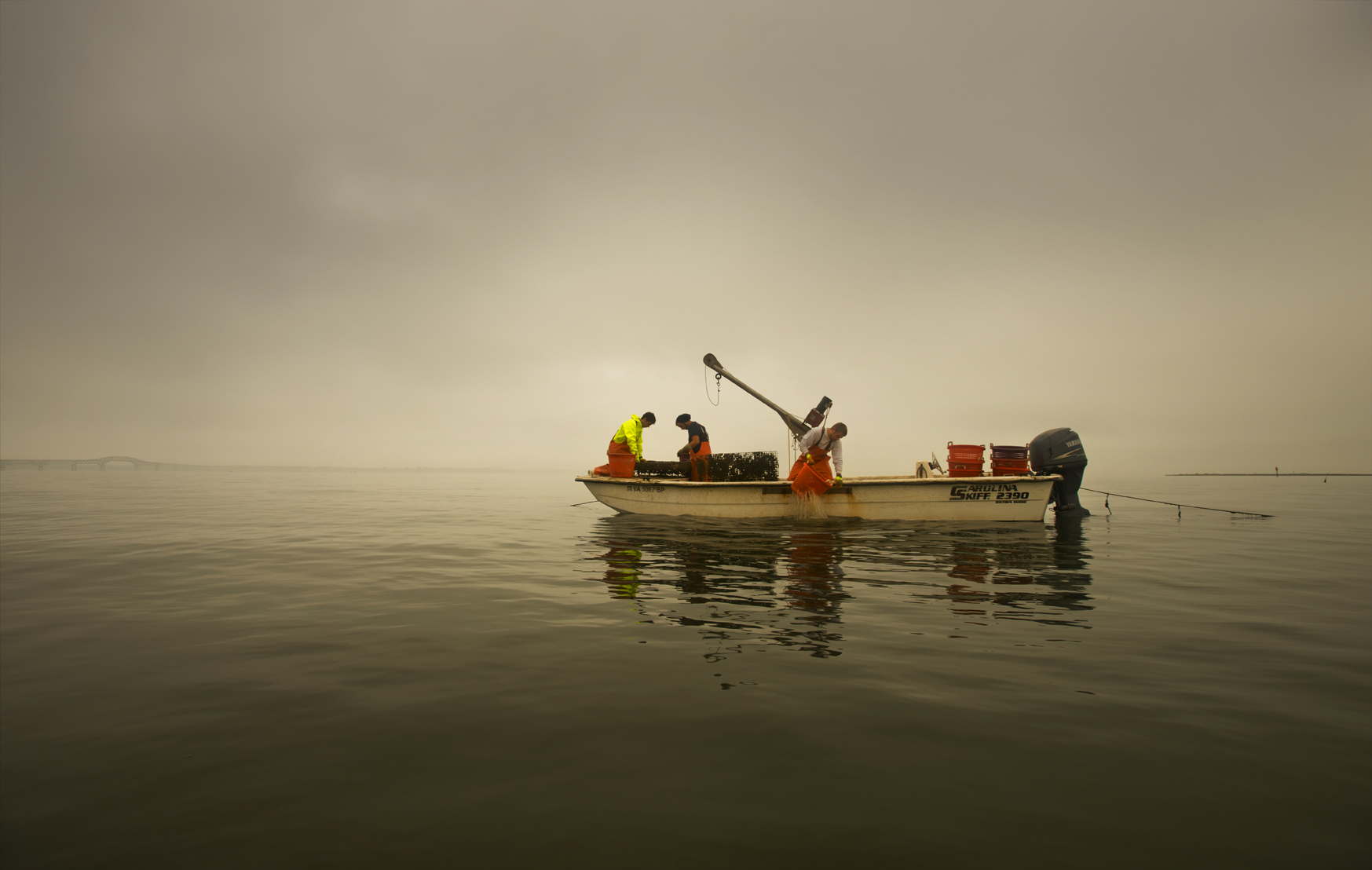Harvesting oysters, Rappahannock River.JPG