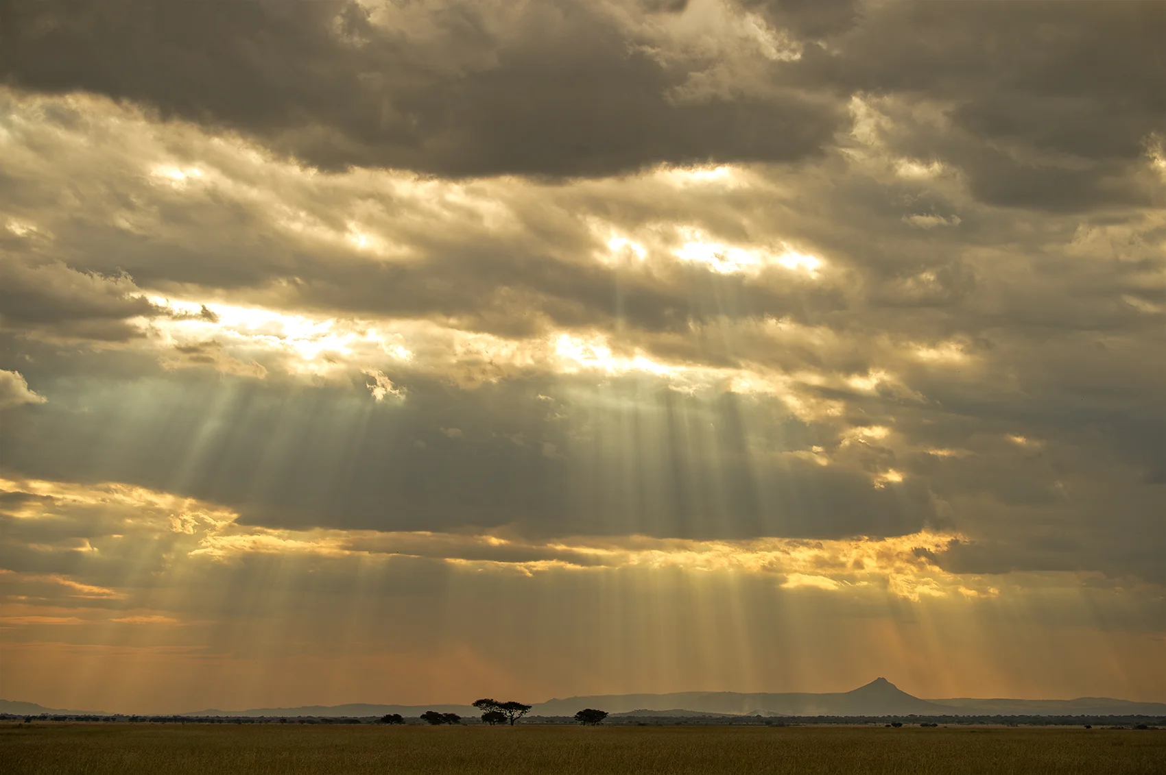 Serengeti