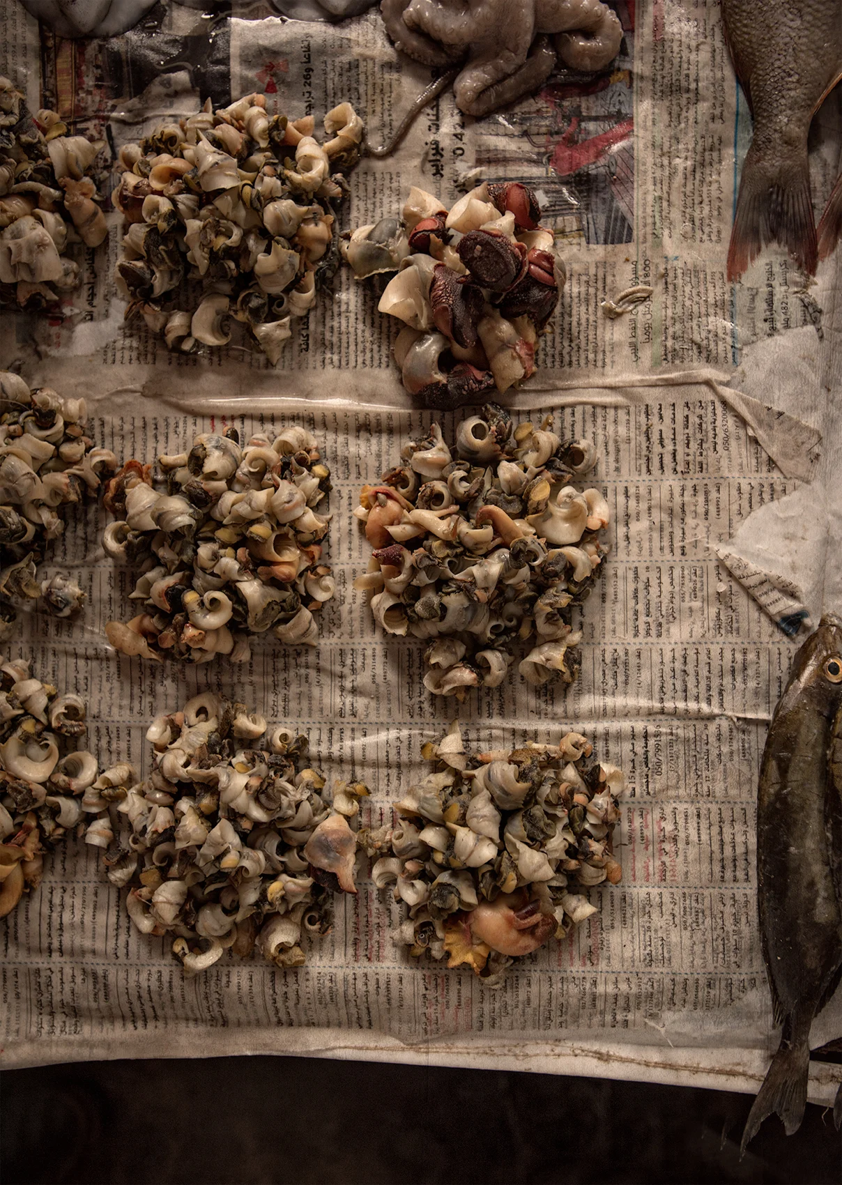 Seafood parts, Zanzibar