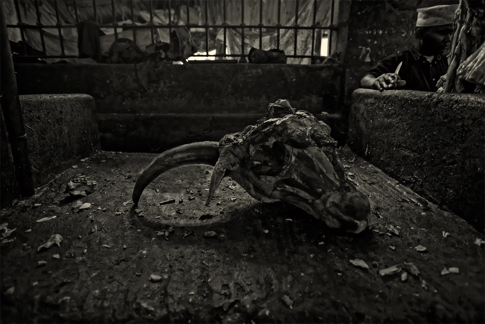 Butcher, Zanzibar
