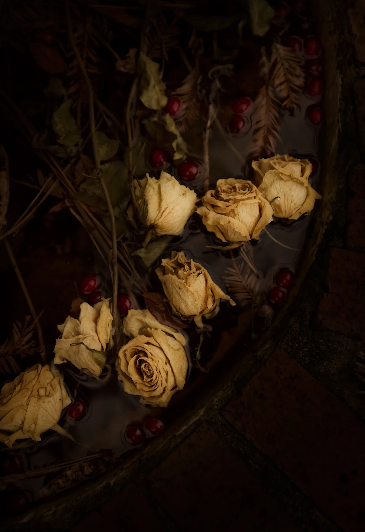 Roses and Cranberries in Bob's fountain, Virginia Beach, Va.