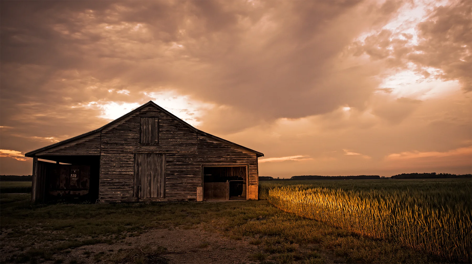 Farm near Whaleyville, Va.