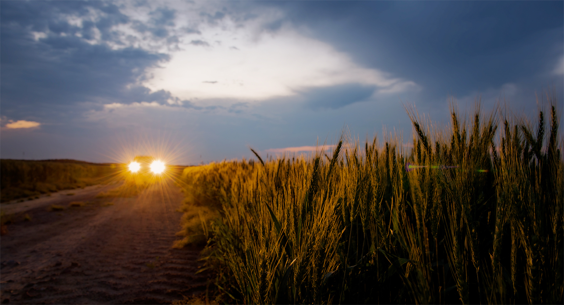 Farmland, eastern North Carolina.