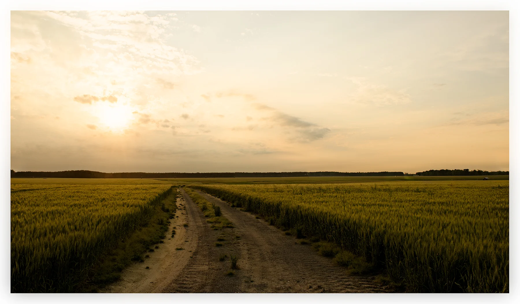 Dirt road, eastern North Carolina