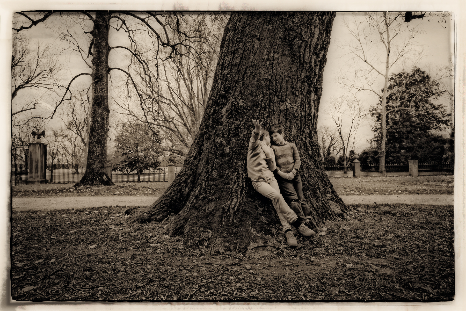 Brothers and the tree, Westover Plantation