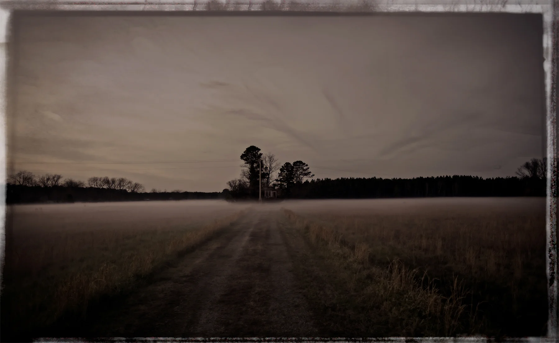 Abandoned house and mist in fields, north of Scotland Neck, NC