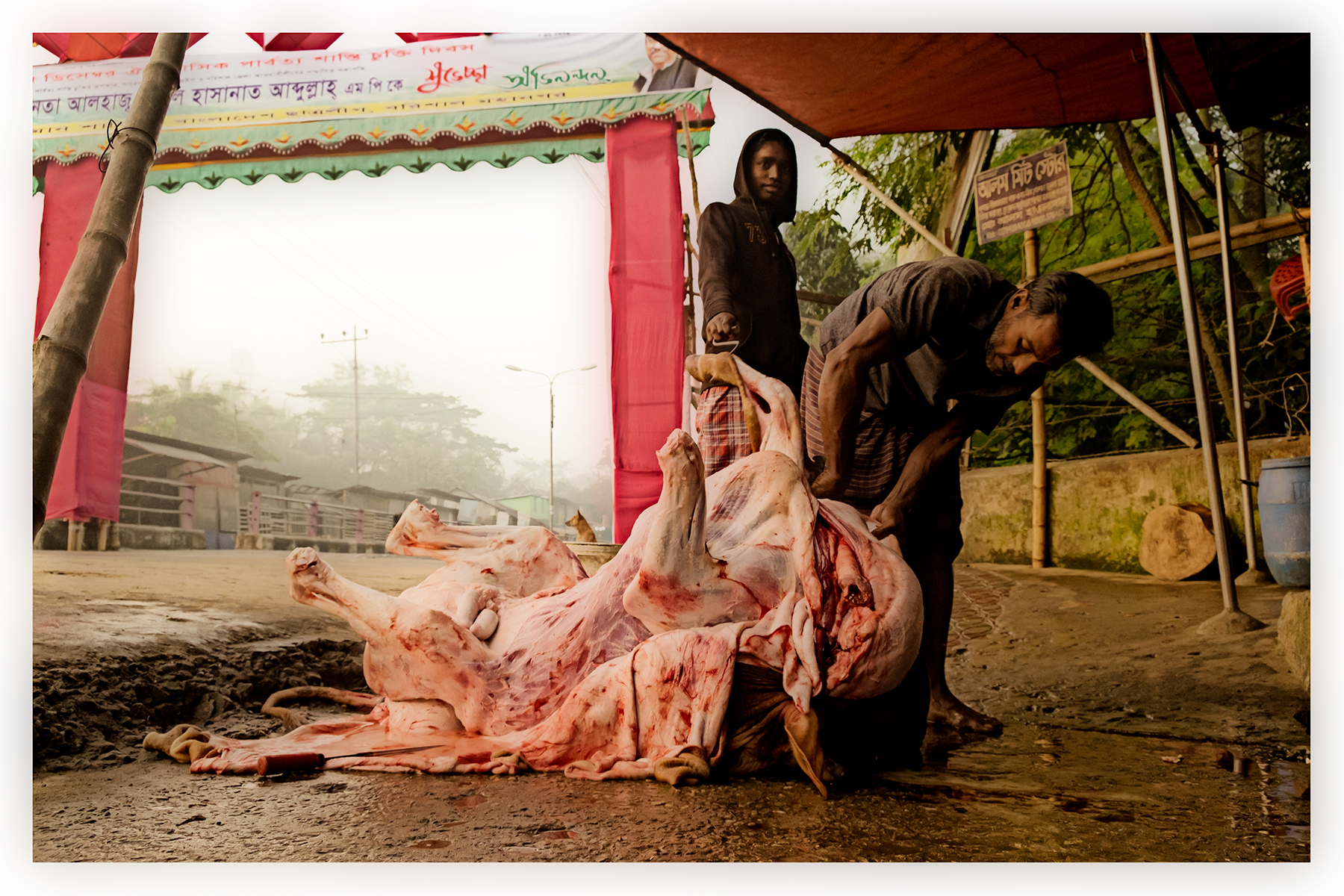 Butchering on the sidewalk, Barisal, Bangladesh