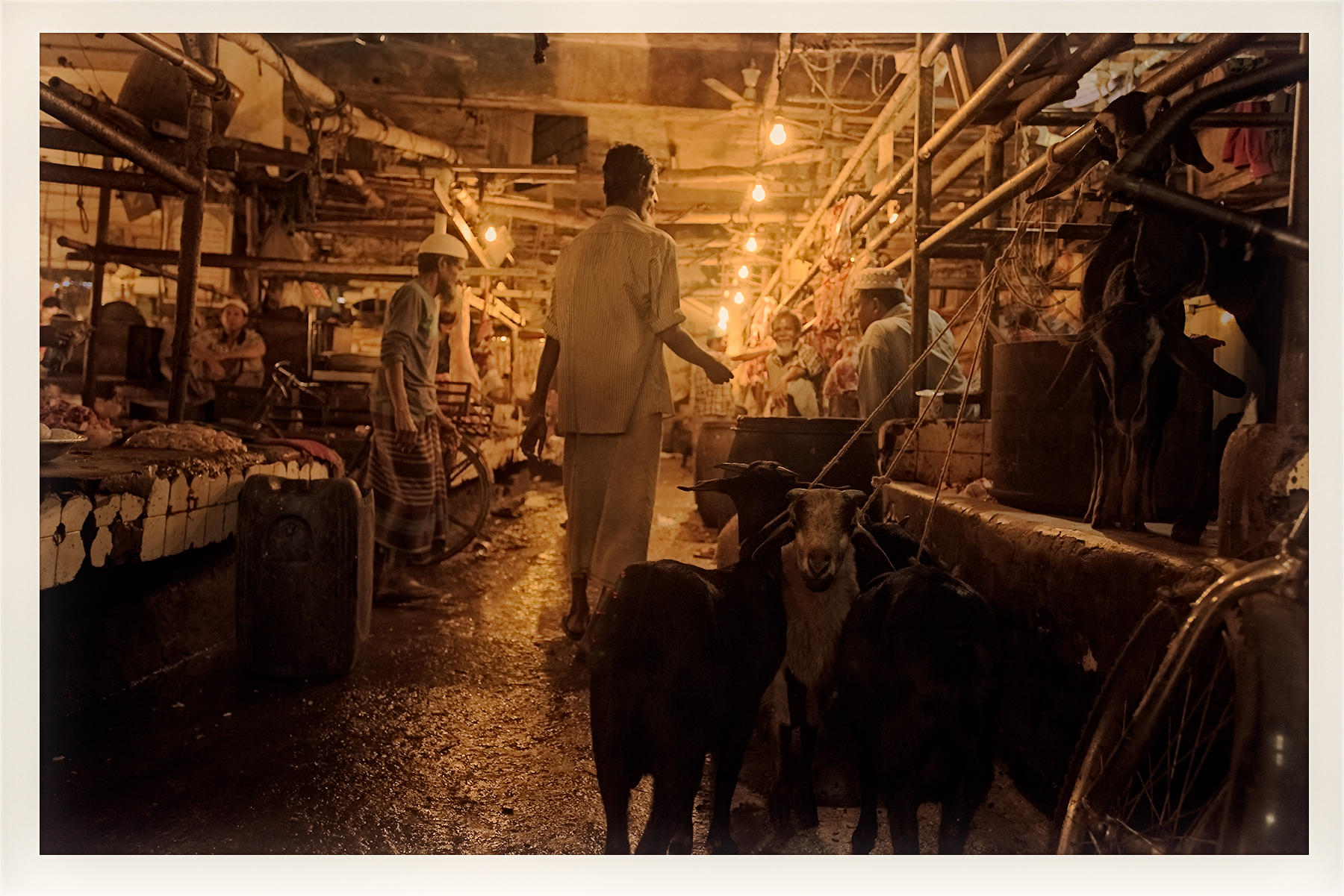 Slaughter house, Dhaka, Bangladesh
