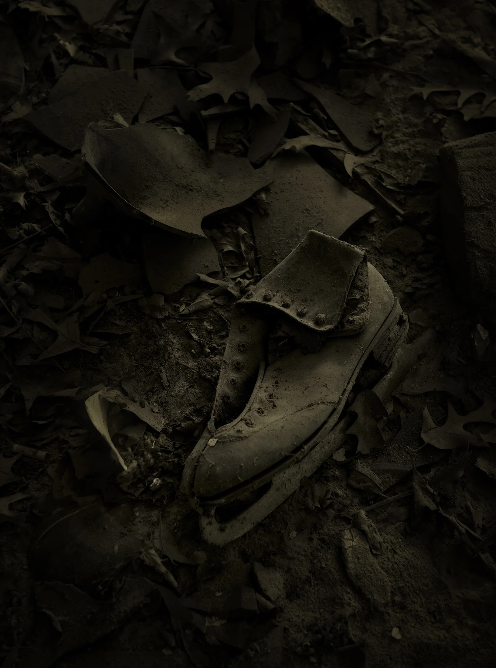 Ice skate, abandoned Rosenwald School in Cape Charles, Va. September 18.
