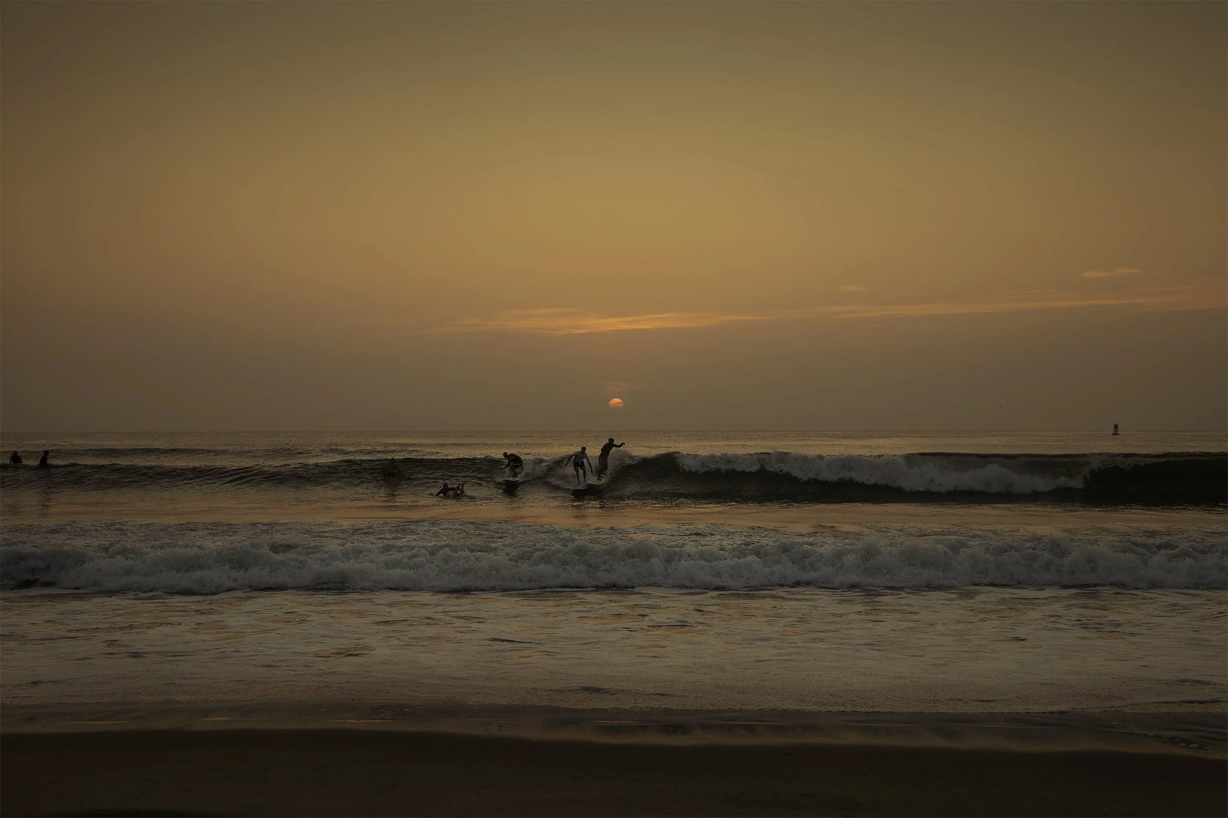 surfing sunrise