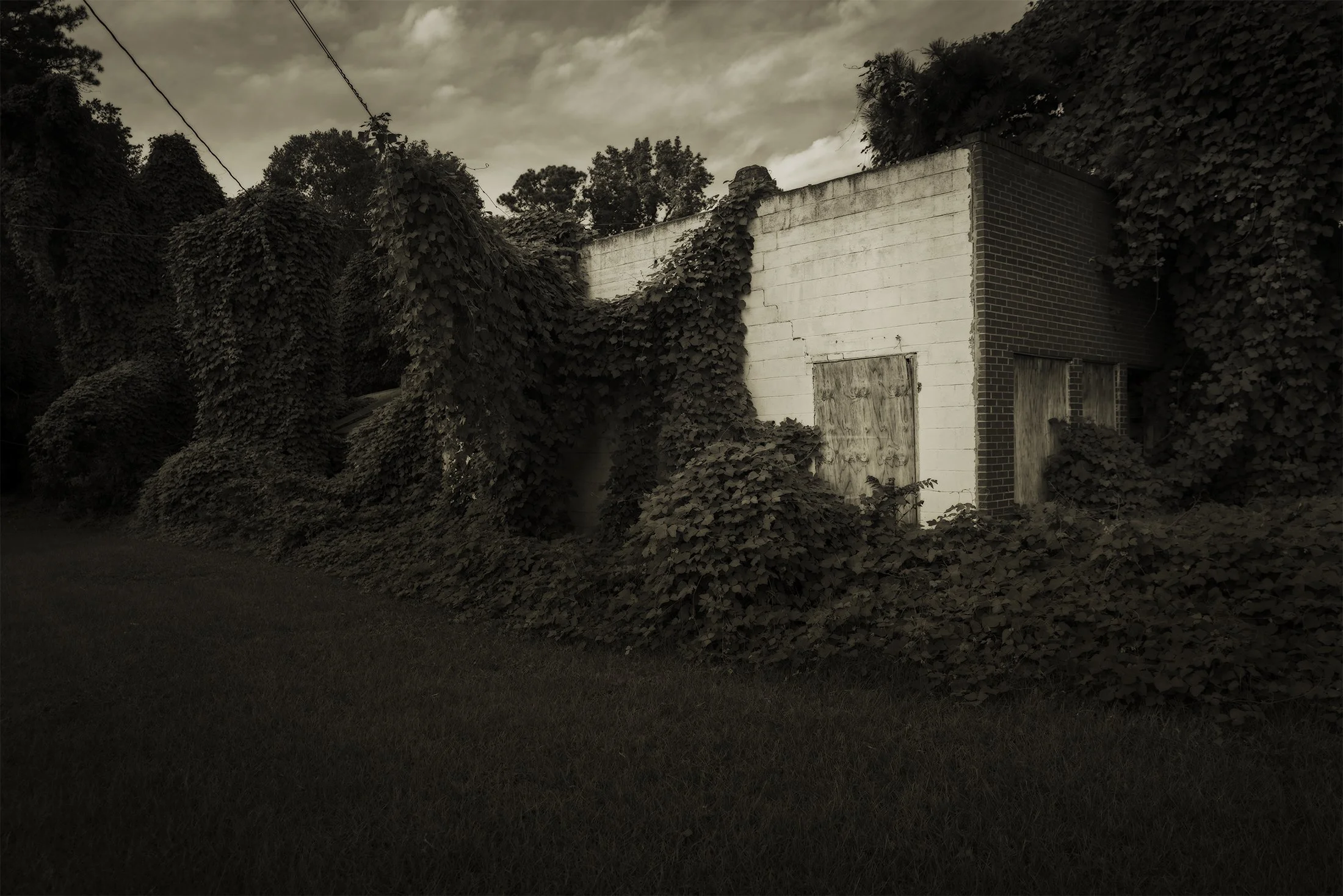 Kudzu, Murfreesboro, North Carolina