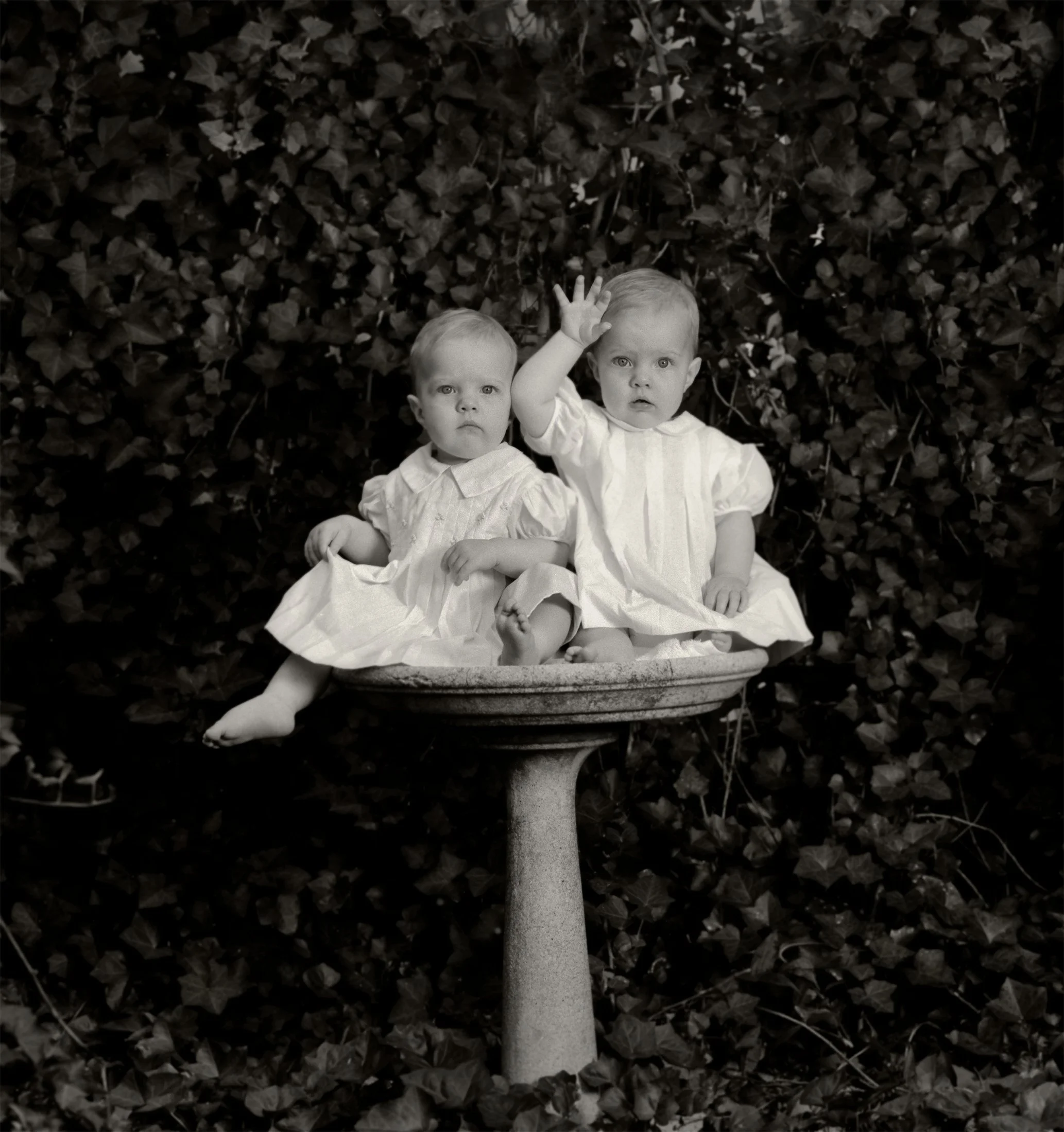twins, birdbath