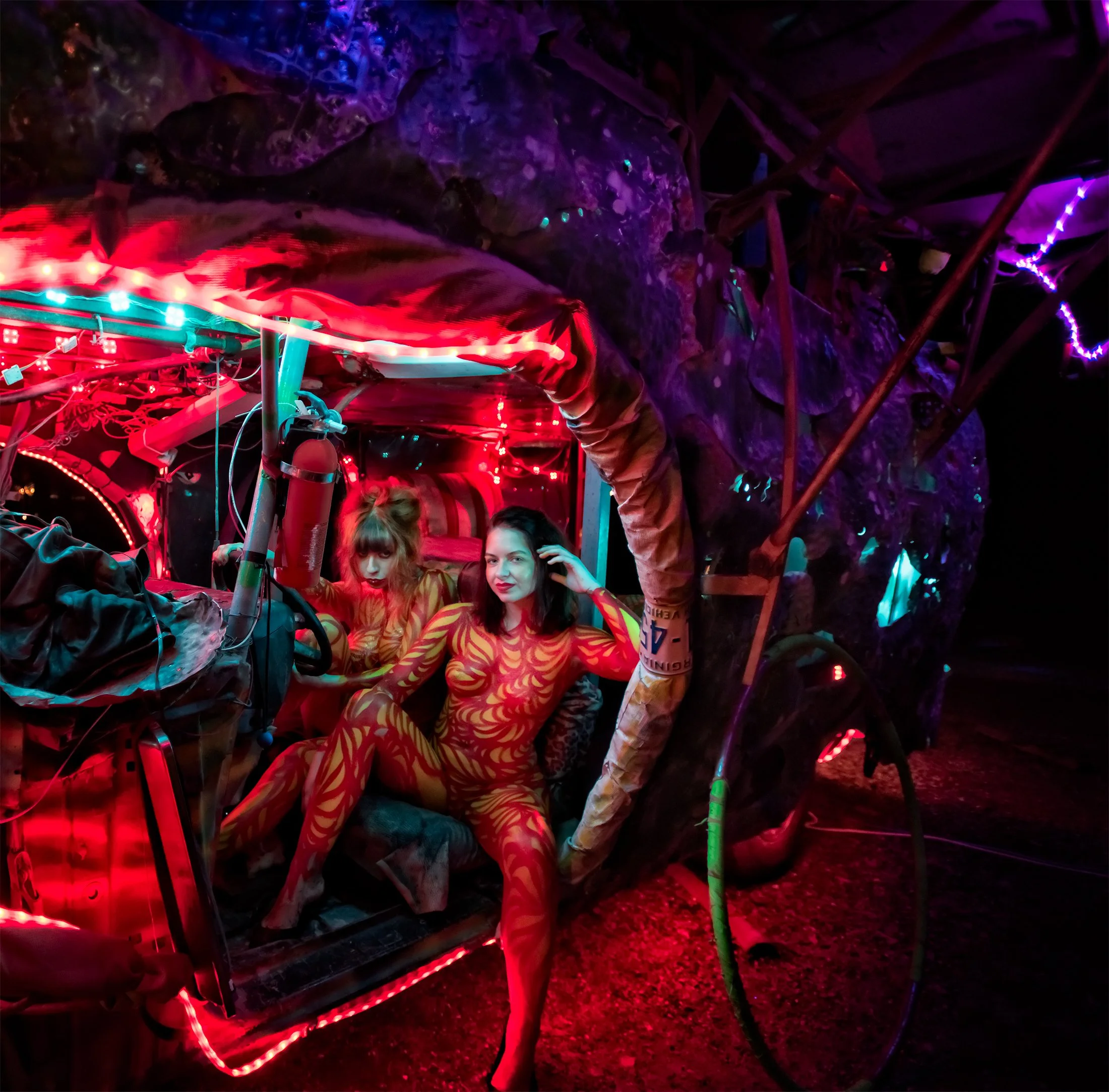 Party at the Hermitage, 2017