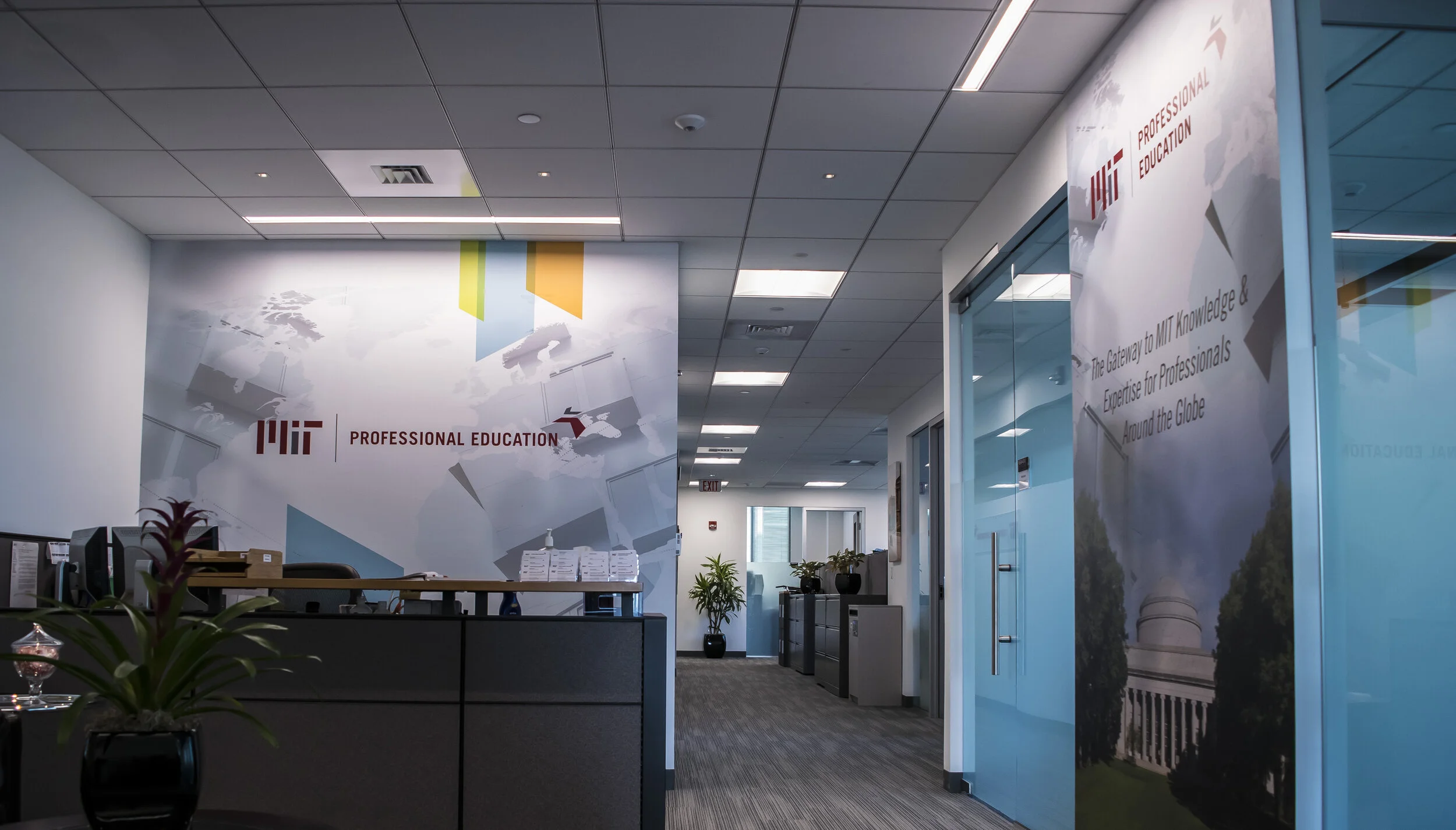 MIT PE  Environmental Branding