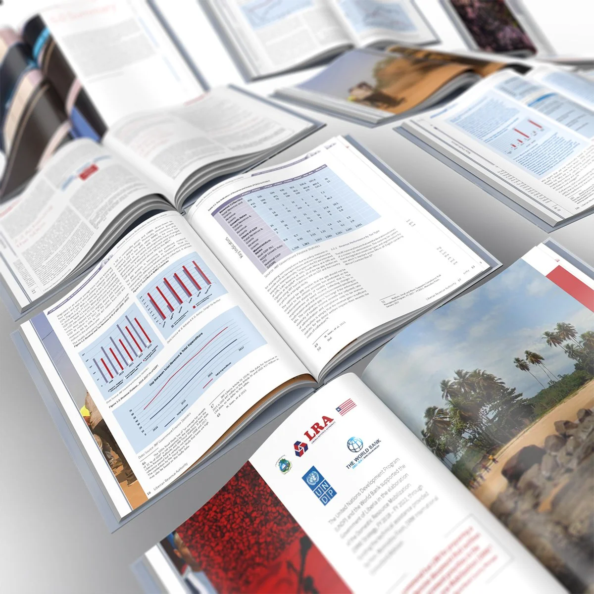 Domestic Resource Mobilization Strategy Book