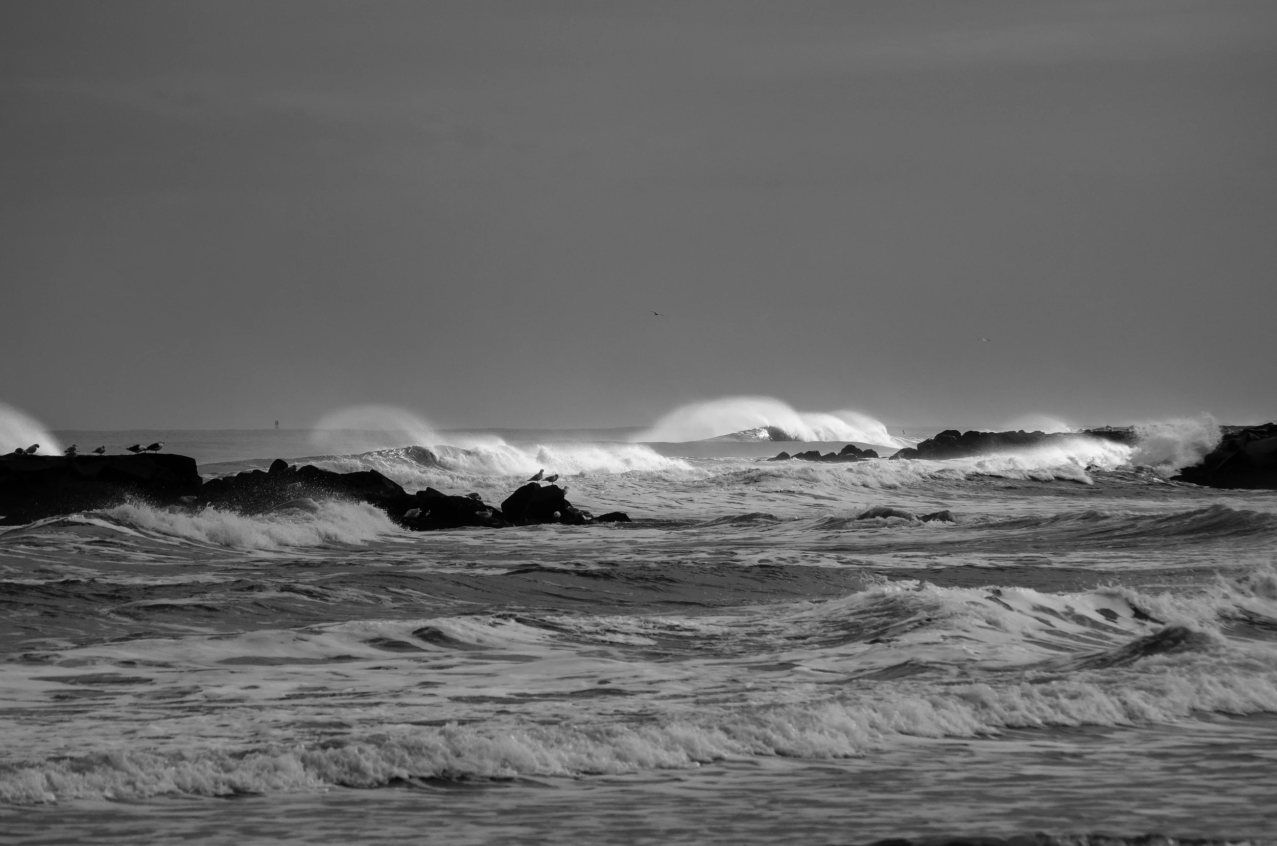 January 2014 Surf 4.jpg