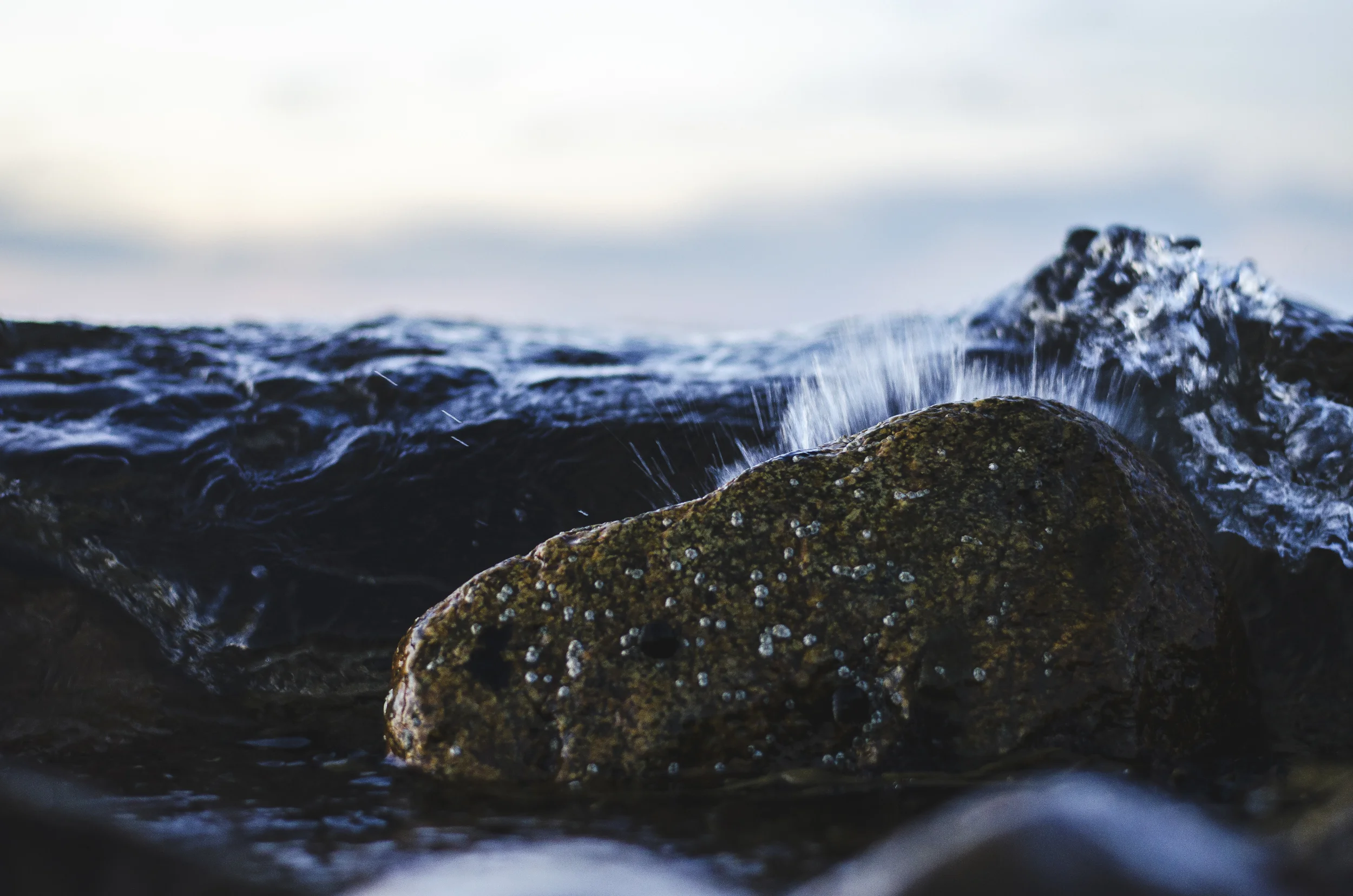 Scituate Splash 1.jpg