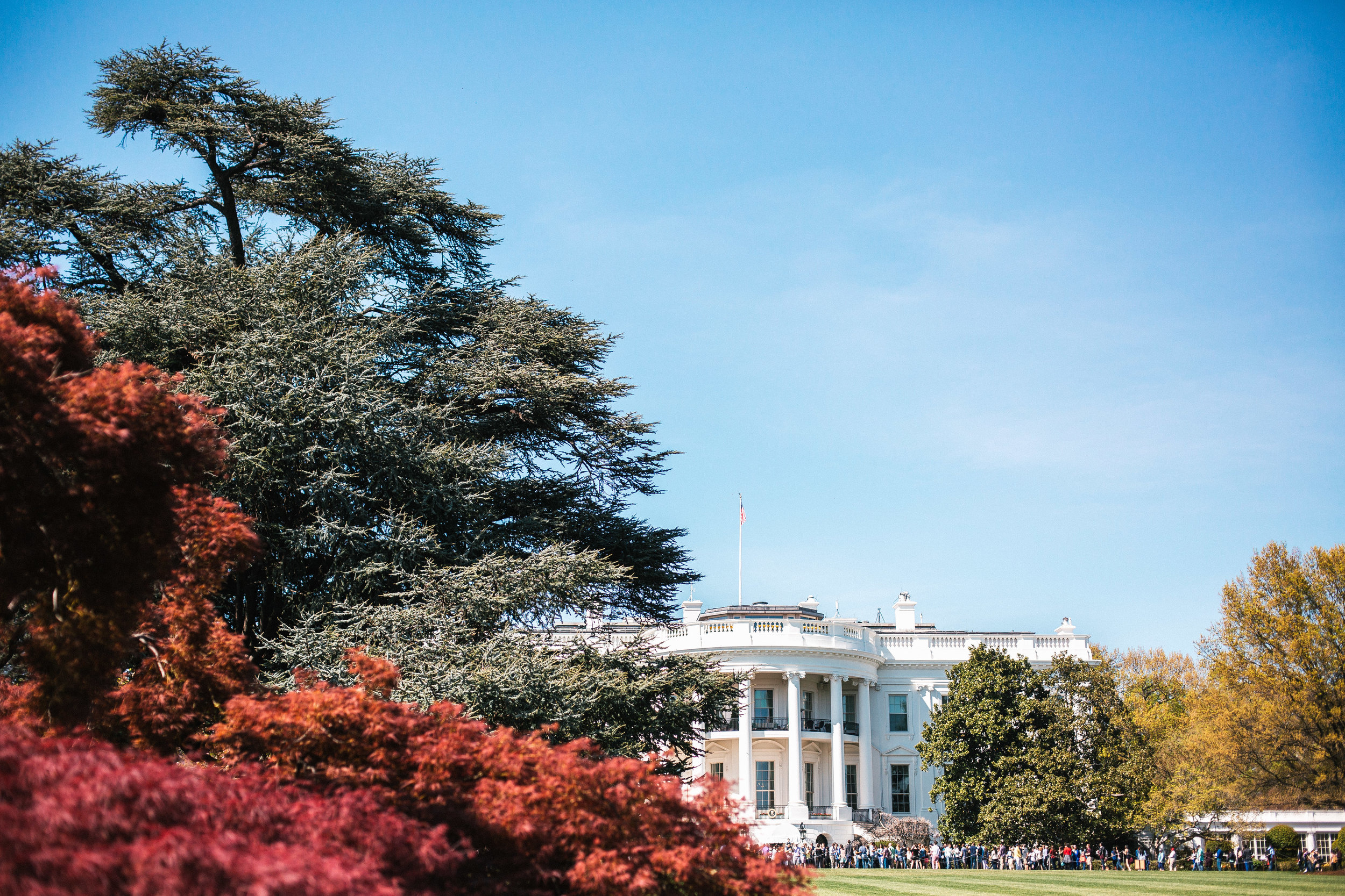 DC Garden Tour-32.jpg