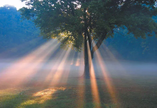 Unexpected Blessings - Part II