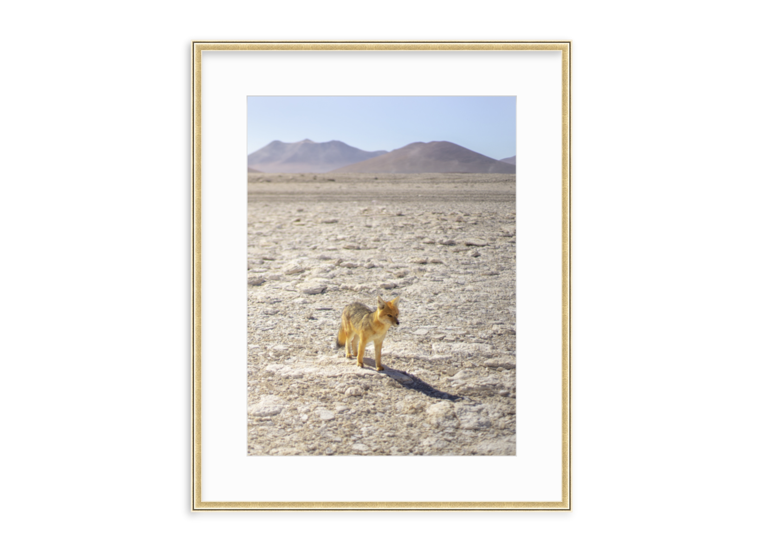 Screen Shot 2020-02-05 at 10.26.01 PM.png