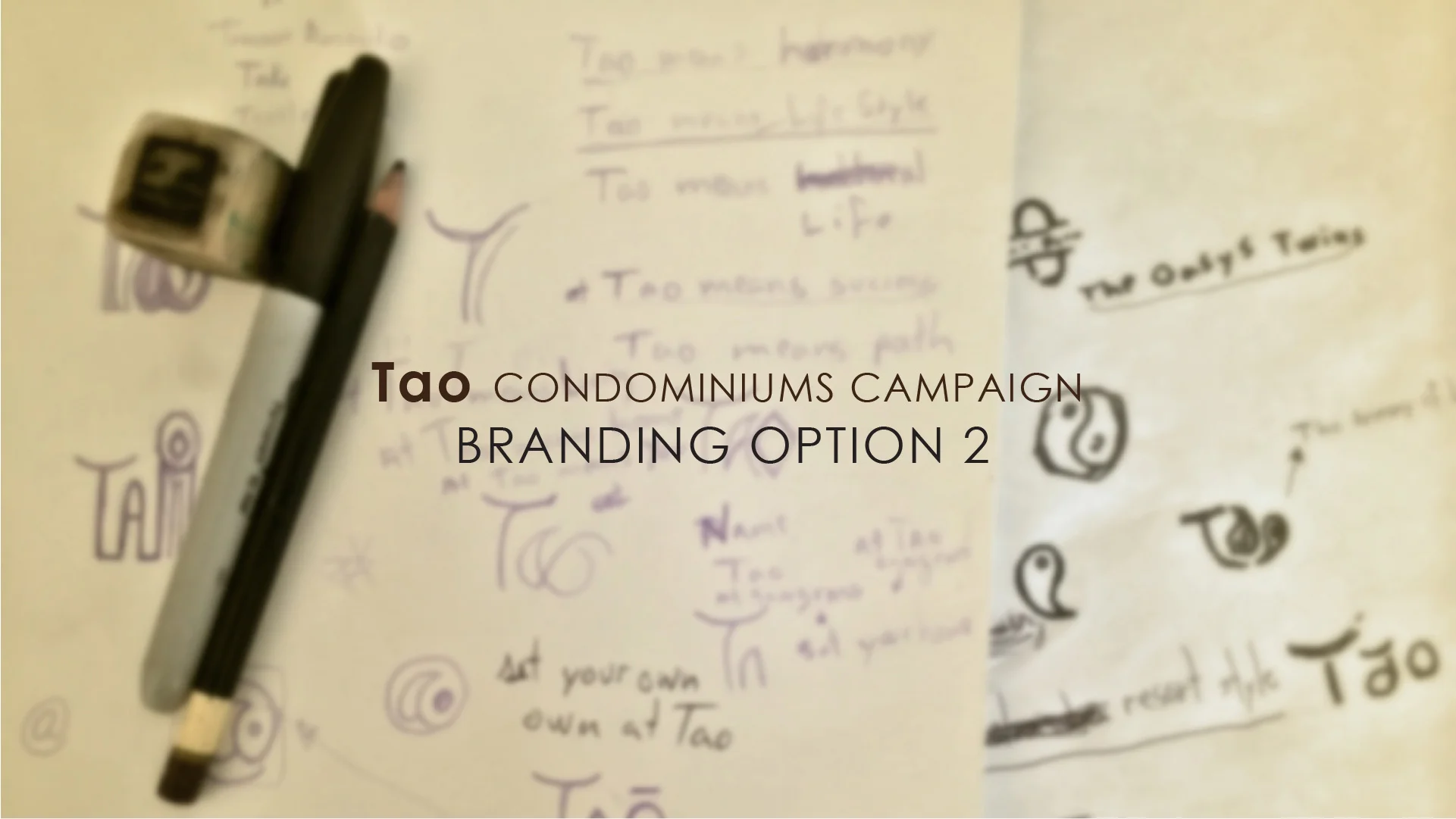 Tao_Condo_Concepts_presentation-(1)-28.jpg