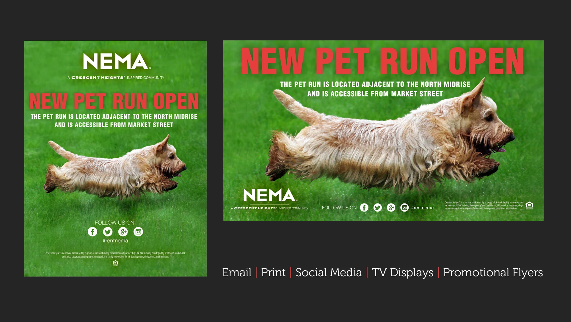 Nema_Flyers_tv_4.jpg