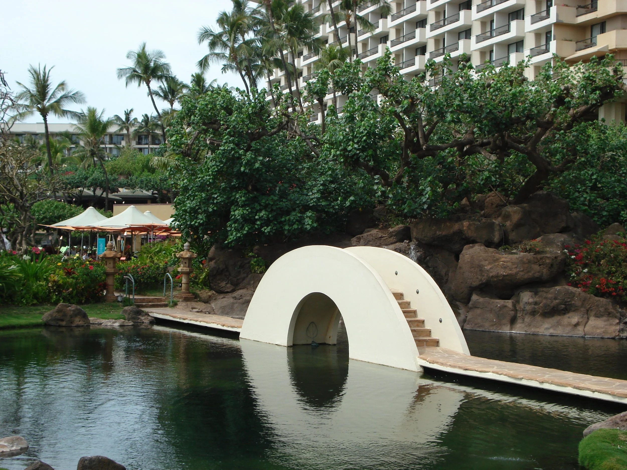 Hawaii 4.JPG
